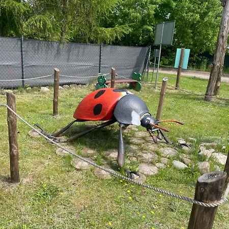 Letniskowe Powiat Starogard Gdanski *